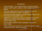 Darbo jėgos 2 puslapis