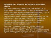 Darbo jėgos 6 puslapis