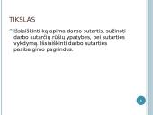 Darbo sutarties ypatybės 2 puslapis