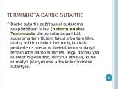 Darbo sutarties ypatybės 6 puslapis