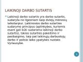 Darbo sutarties ypatybės 8 puslapis