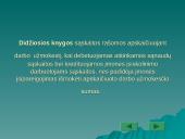 Darbo užmokesčio dokumentai. Skolų dokumentai 3 puslapis