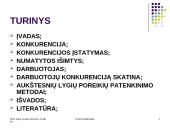 Darbuotojų konkurencija įmonėje 2 puslapis