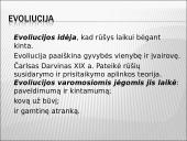 Darvinas ir evoliucija 2 puslapis