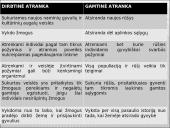 Darvinas ir evoliucija 11 puslapis