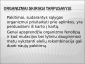Darvinas ir evoliucija 12 puslapis