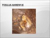 Darvinas ir evoliucija 16 puslapis