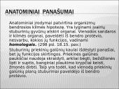 Darvinas ir evoliucija 17 puslapis