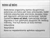 Darvinas ir evoliucija 4 puslapis