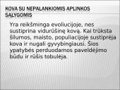 Darvinas ir evoliucija 7 puslapis