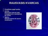Deimantai ir mineralai 15 puslapis