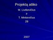 Deimantai ir mineralai 19 puslapis