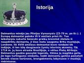 Deimantai ir mineralai 4 puslapis