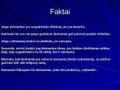 Deimantai ir mineralai 7 puslapis