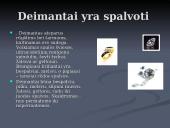 Deimanto ir grafito panaudojimas 11 puslapis