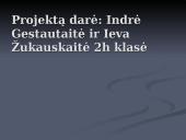 Deimanto ir grafito panaudojimas 13 puslapis