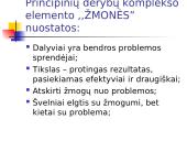 Derybų valdymas 8 puslapis