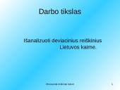 Deviaciniai reiškiniai kaime 2 puslapis