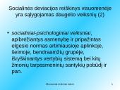 Deviaciniai reiškiniai kaime 13 puslapis