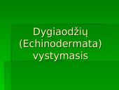 Dygiaodžių (Echinodermata) vystymasis