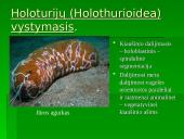 Dygiaodžių (Echinodermata) vystymasis 4 puslapis
