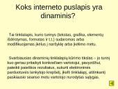Dinaminiai interneto puslapiai, jų privalumai bei trūkumai 4 puslapis