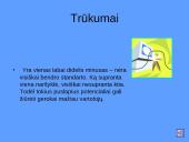 Dinaminiai interneto puslapiai, jų privalumai bei trūkumai 7 puslapis