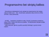 Dinaminiai interneto puslapiai, jų privalumai bei trūkumai 8 puslapis