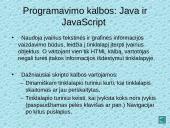 Dinaminiai interneto puslapiai, jų privalumai bei trūkumai 9 puslapis