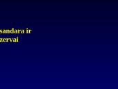 Dirbtinis maitinimas 2 puslapis