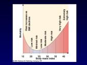 Dirbtinis maitinimas 17 puslapis