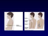 Dirbtinis maitinimas 18 puslapis