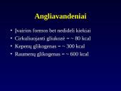 Dirbtinis maitinimas 4 puslapis