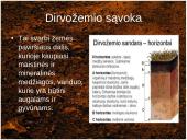 Dirvos erozija 3 puslapis