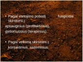 Dirvos erozija 5 puslapis