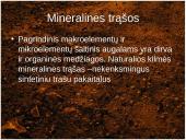 Dirvos erozija 6 puslapis