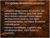 Dirvos erozija 9 puslapis