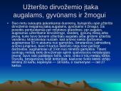 Dirvožemio tarša 3 puslapis