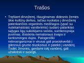 Dirvožemio tarša 7 puslapis