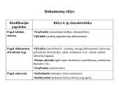 Dokumentų analizė 2 puslapis