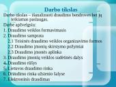 Draudimo bendrovių analizė ir jų teikiamos paslaugos 2 puslapis