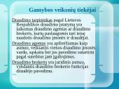 Draudimo bendrovių analizė ir jų teikiamos paslaugos 11 puslapis