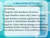 Draudimo bendrovių analizė ir jų teikiamos paslaugos 14 puslapis