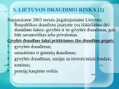 Draudimo bendrovių analizė ir jų teikiamos paslaugos 16 puslapis