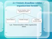 Draudimo bendrovių analizė ir jų teikiamos paslaugos 4 puslapis