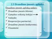 Draudimo bendrovių analizė ir jų teikiamos paslaugos 10 puslapis