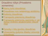 Draudimo rūšys įmonėje: ADB "Reso Europa" 6 puslapis