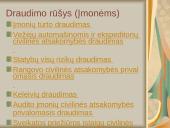 Draudimo rūšys įmonėje: ADB "Reso Europa" 7 puslapis