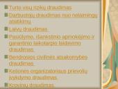 Draudimo rūšys įmonėje: ADB "Reso Europa" 8 puslapis