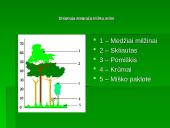 Drėgnųjų atogrąžų miškų augalija bei gyvūnija 5 puslapis